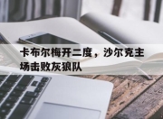 平博体育账号-卡布尔梅开二度，沙尔克主场击败灰狼队的简单介绍