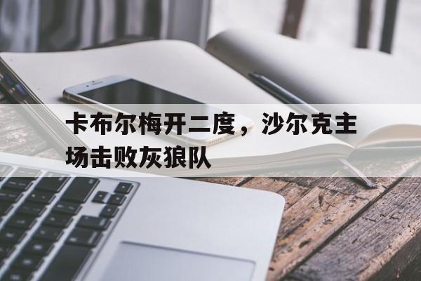 卡布尔梅开二度，沙尔克主场击败灰狼队的简单介绍